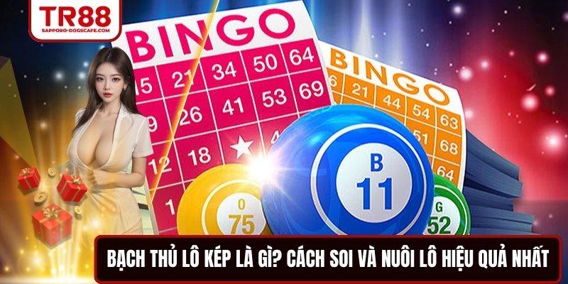 Bạch Thủ Lô Kép Là Gì? Cách Soi Và Nuôi Lô Hiệu Quả Nhất