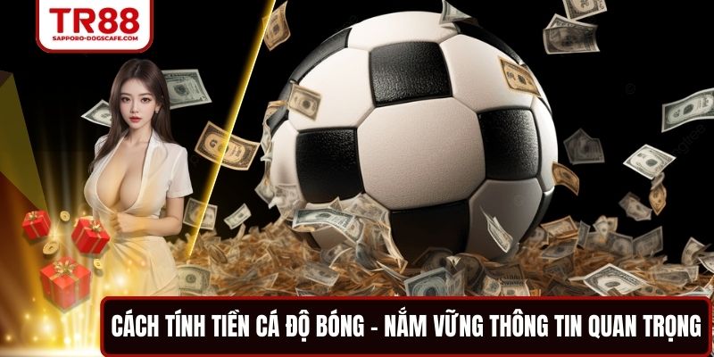 Cách Tính Tiền Cá Độ Bóng - Nắm Chắc Thông Tin Quan Trọng