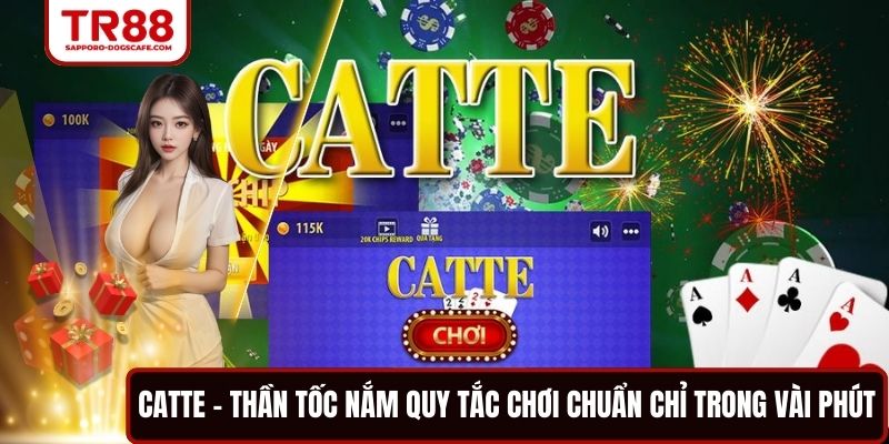 Catte - Thần Tốc Nắm Quy Tắc Chơi Chuẩn Chỉ Trong Vài Phút