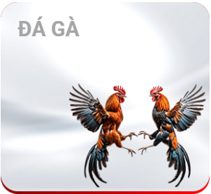 đá GÀ