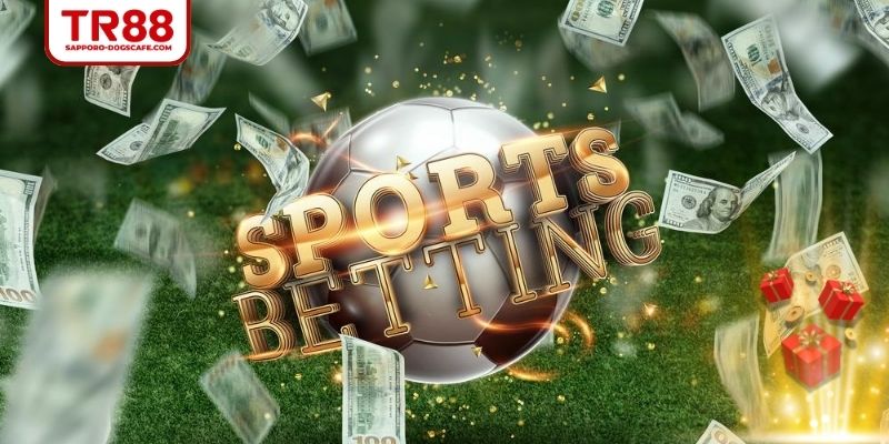 Khám phá chi tiết về tips bóng đá là gì