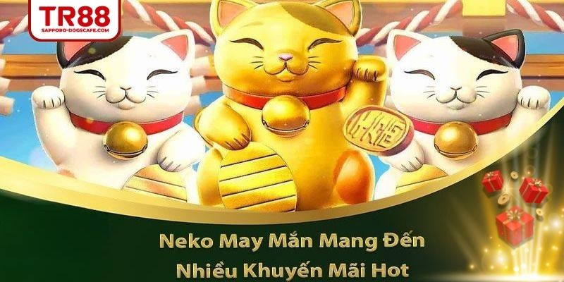 Khám phá luật chơi Mèo Tài Lộc chi tiết nhất