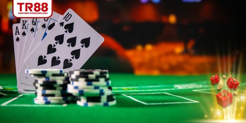 Luật Hilo dễ tiếp cận, phù hợp người mới và có kinh nghiệm