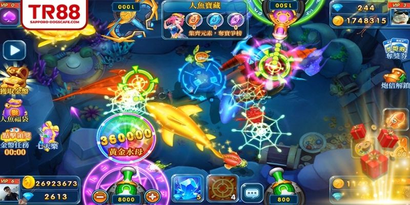 Những rủi ro tiềm ẩn khi tham gia lậu